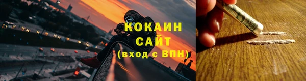 соль ск Богданович