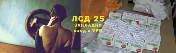 прущие грибы Белокуриха