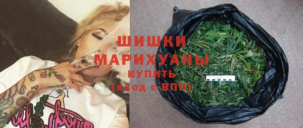 соль ск Богданович