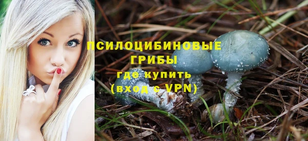 соль ск Богданович