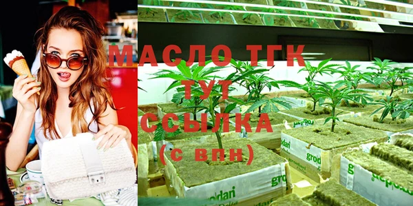 соль ск Богданович