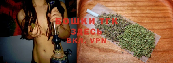 соль ск Богданович