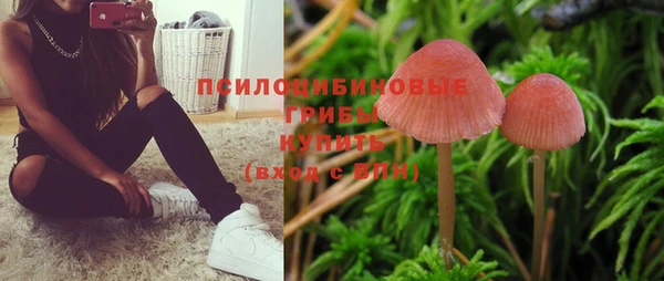 скорость Богородицк
