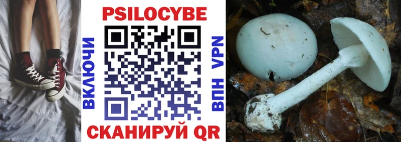 Псилоцибиновые грибы Magic Shrooms Болхов
