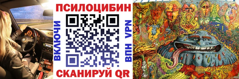 Псилоцибиновые грибы Psilocybe  Купить где  Болхов 
